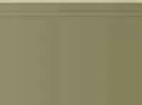 Pastel Caran d'Ache Neocolor II 039 Olive brown