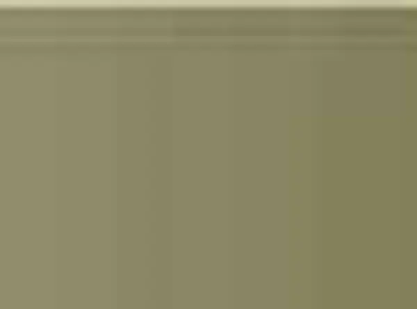 Pastel Caran d'Ache Neocolor II 039 Olive brown