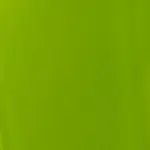 Akrylová barva Basics 118ml – 222 lime green