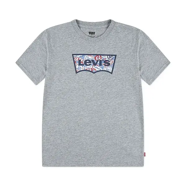 Dětské tričko Levi's ON THE ROAD BATWING TEE šedá barva, s potiskem, 8EN945