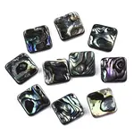 Natural Abalone Shell/Paua Shell Cabochons