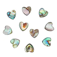 10Pcs Natural Abalone Shell/Paua Shell Beads