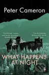 What Happens at Night - Peter Cameron - kniha z kategorie Společenská beletrie