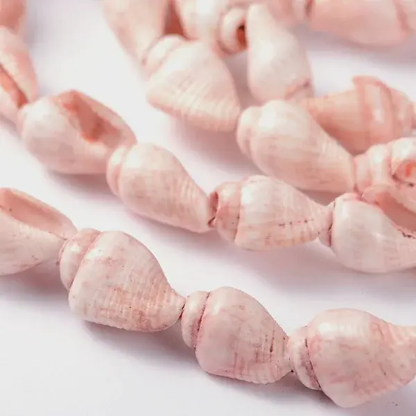 Natural Sea Shell Conch Bead Strands