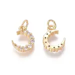 Brass Micro Pave Clear Cubic Zirconia Charms
