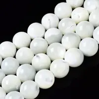 Natural Trochid Shell/Trochus Shell Beads Strands