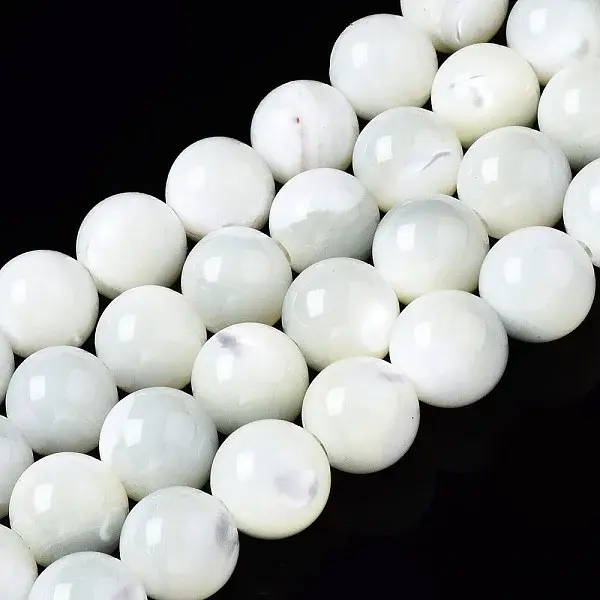 Natural Trochid Shell/Trochus Shell Beads Strands