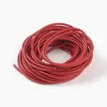 Braided Leather Cord with Core