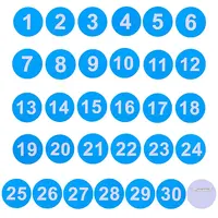 1 Set Round ABS Plastic Number 1-30 Brooches Sets