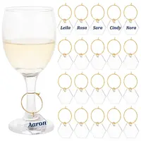 Transparent Acrylic Hexagon Wine Glass Charms