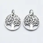 316 Surgical Stainless Steel Pendants