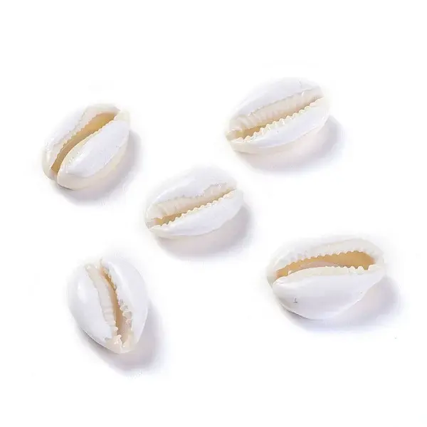 Cowrie Shell Beads