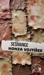 Sešívance - Honza Vojtíšek