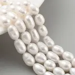 Natural Cultured Freshwater Pearl Beads Strands