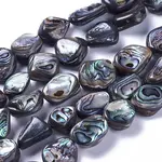 Natural Abalone Shell/Paua Shell Beads Strands