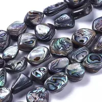 Natural Abalone Shell/Paua Shell Beads Strands