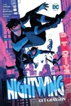 Nightwing Vol. 2 - Bruno Redondo, Tom Taylor