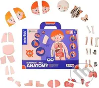 MierEdu Magnetická tabulka - Lidské tělo - hra z kategorie Vzdělávací hry