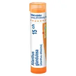 BOIRON Ailanthus glandulosa 15CH 4 g