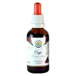 SALVIA PARADISE Čaga rezavec šikmý tinktura 50 ml