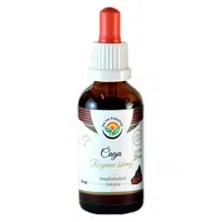 SALVIA PARADISE Čaga rezavec šikmý tinktura 50 ml