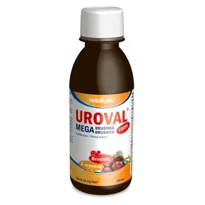 UROVAL Megabrusinka FORTE sirup 200 ml