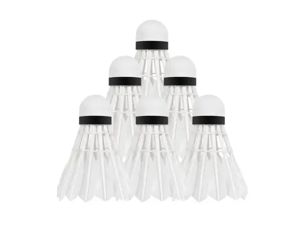 Míčky na badminton REBEL RBA-4103