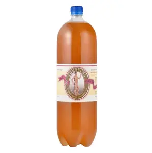 STEVIKOM Kombucha černá 2 litry