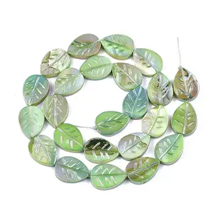 Freshwater Shell Beads Strands