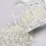 12/0 Glass Seed Beads