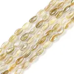 Natural Freshwater Shell Beads Strands