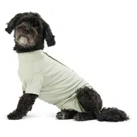 BUSTER Body Suit Step'n Go Dog Obleček pro psy zelený, Velikost: XS