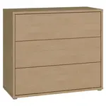 Carryhome KOMODA, barvy dubu, 95/83/42 cm