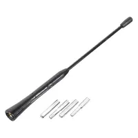 Autoanténa COMPASS 03177 (jen prut)