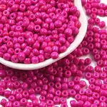 Baking Paint 6/0 Glass Seed Beads