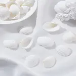 100g Natural Shell Pendants