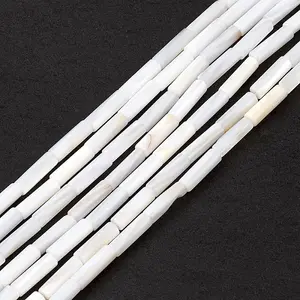 Natural Freshwater Shell Beads Strands
