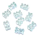 Transparent Resin Beads
