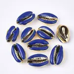 Electroplated Cowrie Shell Beads