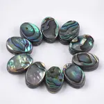 Abalone Shell/Paua Shell Beads