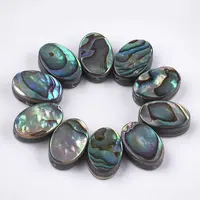 Abalone Shell/Paua Shell Beads