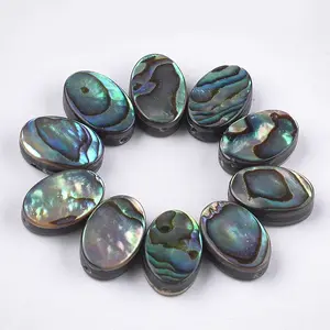 Abalone Shell/Paua Shell Beads