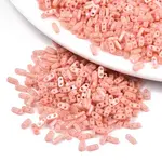 FGB 2-Hole Glass Seed Beads