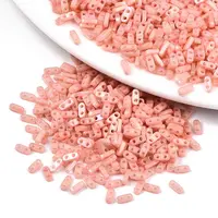 FGB 2-Hole Glass Seed Beads