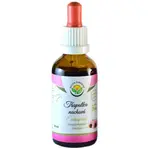 Salvia Paradise Třapatka nachová bezalkoholová tinktura tinktura pro podporu imunitního systému 50 ml
