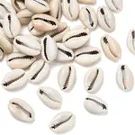 Natural Cowrie Shell Beads