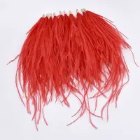 Ostrich Feather Tassel Big Pendant Decorations