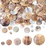 100Pcs 5 Styles Natural Akoya Shell Charms