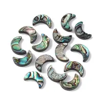 Natural Abalone Shell/Paua Shell Beads