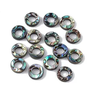 Natural Abalone Shell/Paua Shell Beads